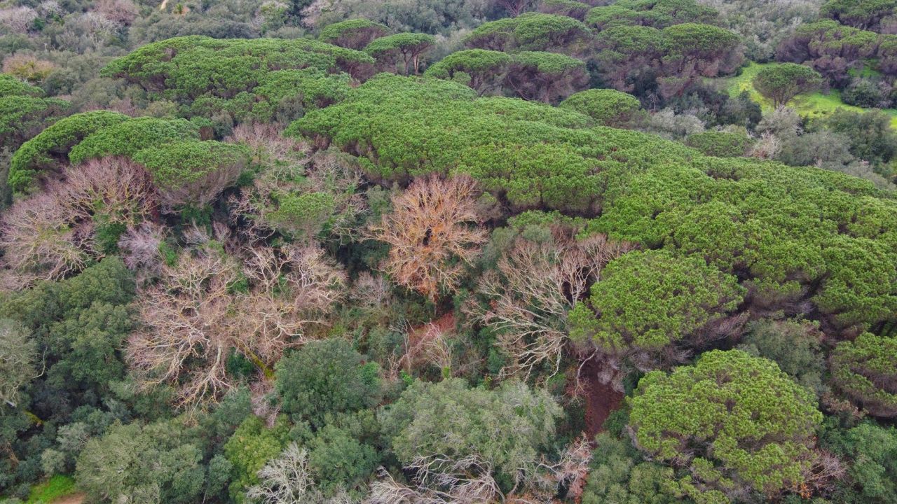 Che cosa chiamiamo davvero natura?